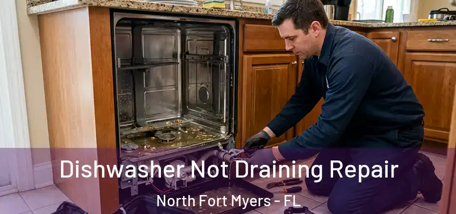 Dishwasher Not Draining Repair North Fort Myers - FL