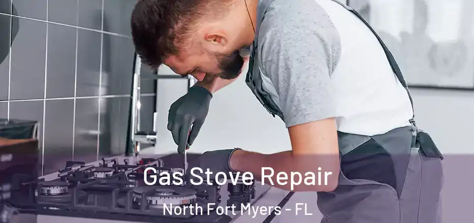  Gas Stove Repair North Fort Myers - FL
