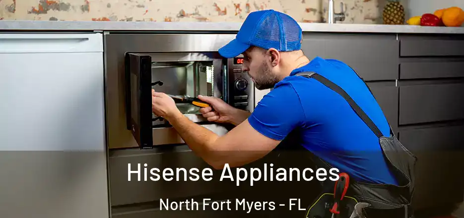 Hisense Appliances North Fort Myers - FL