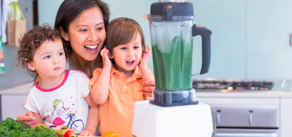Juicer and Mixer Blender Repair in North Fort Myers