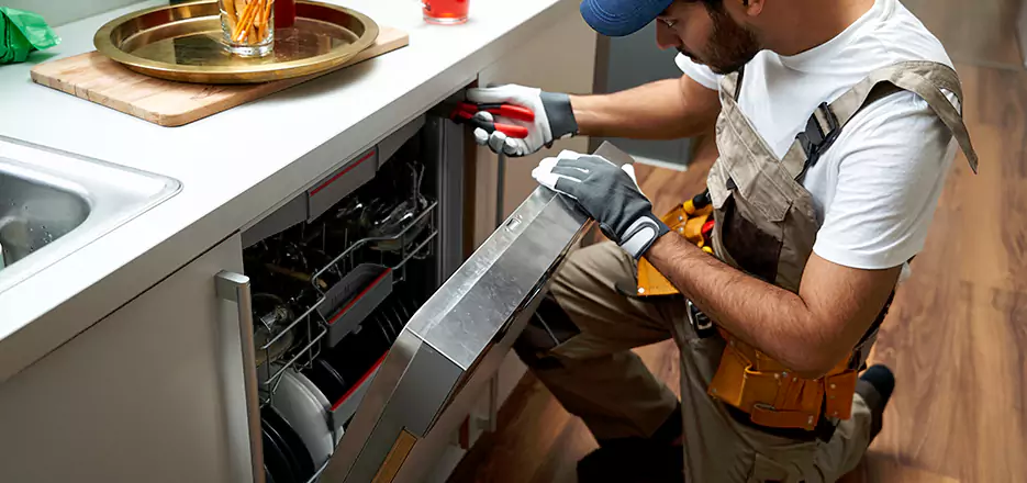Same Day Dishwasher Not Draining Repair in North Fort Myers