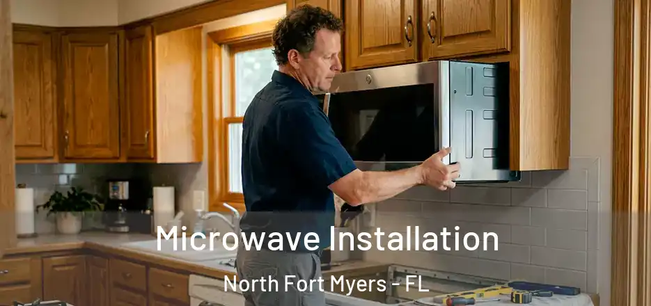 Microwave Installation North Fort Myers - FL