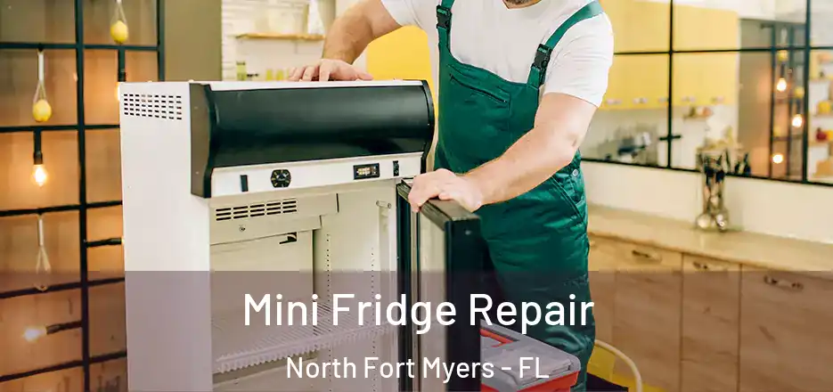 Mini Fridge Repair North Fort Myers - FL